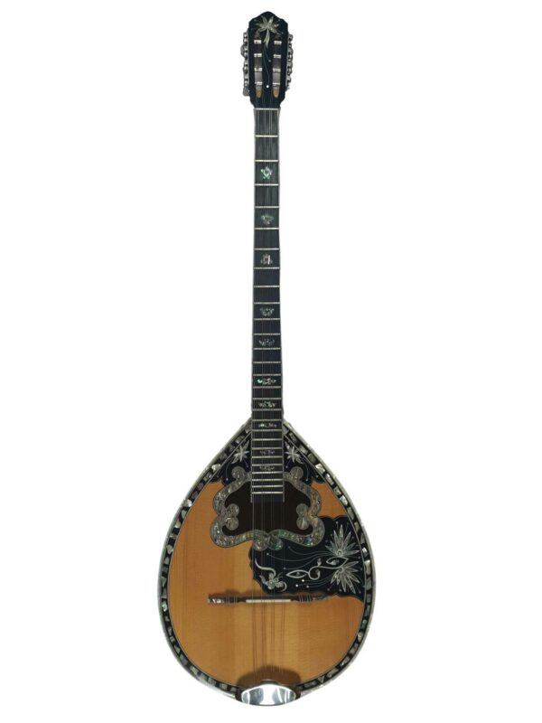 Bouzouki eight-stringed all-in-one with shells